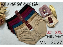 QUẦN THIÊN PHÁT 3027 - LỐC 10 CÁI MÀU